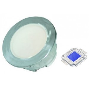 Blue 230V S/STEEL LED Lamp 60MM Dia.