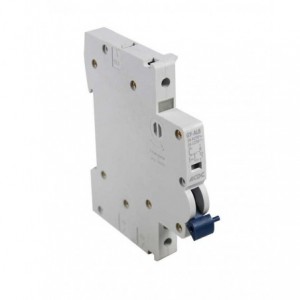 Alarm Control Aux