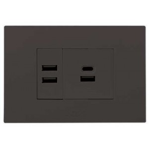 2X 2.1A USB Charger Outlet 2X4 Slate Orion PRE-ASS.