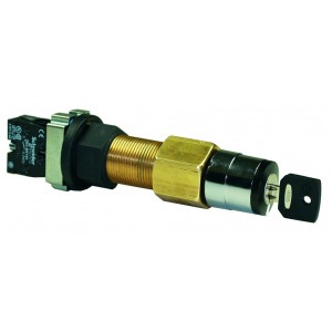 Ronnis Keyswitch (stay Put) Incl 2 Keys