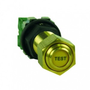 Push Button Flp M20 Test C/W No 10A Contact