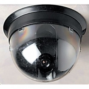 Ccd B/W Dome Camera With Ir Night Vision For PDP-113-03*