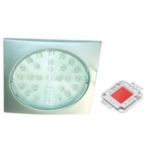 Red 230V S/STEEL LED Lamp 78.5MM Dia.