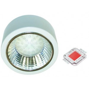 Red 230V S/STEEL LED Lamp 132MM Dia.