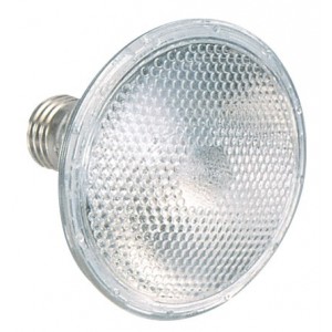 50W 230V Halogen Lamp Base E27