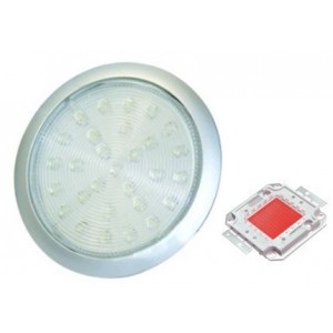 Red 230V S/STEEL LED Lamp 78.5MM Dia.