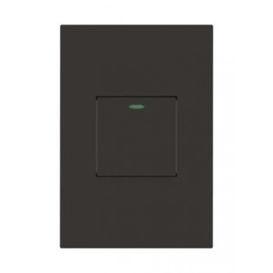 1 Lever 1 Way Switch 2X4 Slate Orion PRE-ASS.