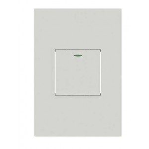 1 Lever Push Button 2X4 White Orion PRE-ASS.