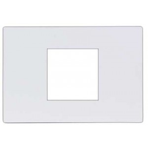 White 2X4 2 Gang Cover Plate
