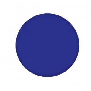 Blue Lens For RW-LED-4 Garden Spikes