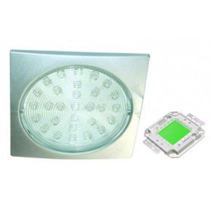 Green 230V S/STEEL LED Lamp 78.5MM Dia.