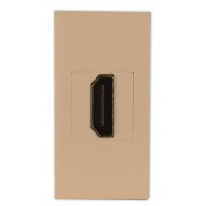CHAMPAGNE HDMI CONNECTION SOCKET 1M (22.5x45mm)