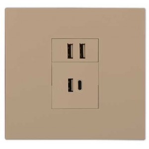 2X 2.1A USB Charger Outlet 4X4 Champagne Orion PRE-ASS.