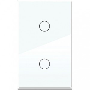 2-GANG  WHITE GLASS PLATE  2x4