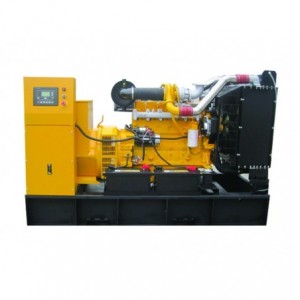Gen 8KVA 1PH 42.5LT Water Cooled Diesel Elec Start