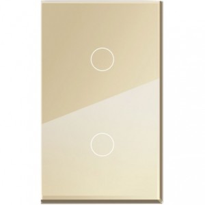 2-GANG  GOLD GLASS PLATE  2x4