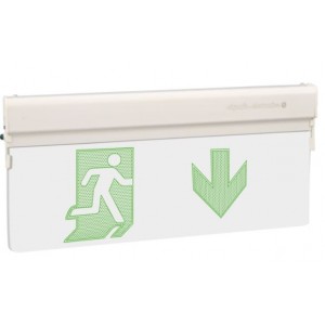 LED Emergency Light 230V 180MIN 13 Leds Green IP42