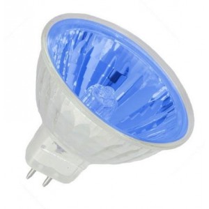 12V 35W 24DEG Blue Halogen Lamp Sealed