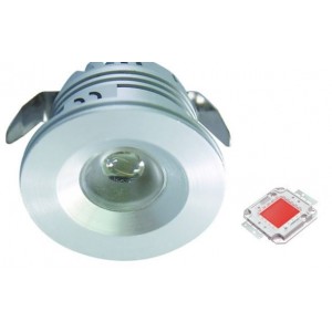 1W Red LED Lamp