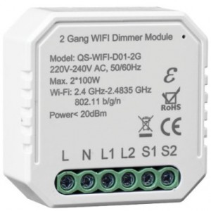 Dimmer 2X100W WIFI + Rf 2 Gang Smart Switch Module