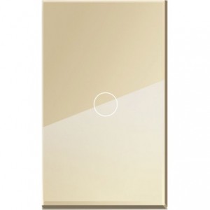1-GANG  GOLD GLASS PLATE  2x4