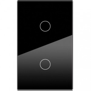 2-GANG  BLACK GLASS PLATE  2x4
