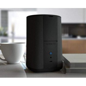 VAUX Portable Speaker for Echo Dot